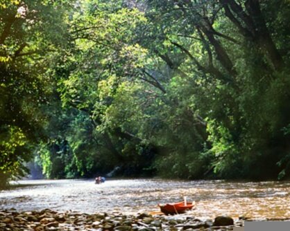Taman Negara Malaysia