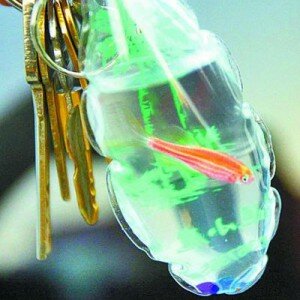 live animal keychain6