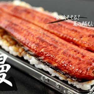 japanese-food-iphone-case